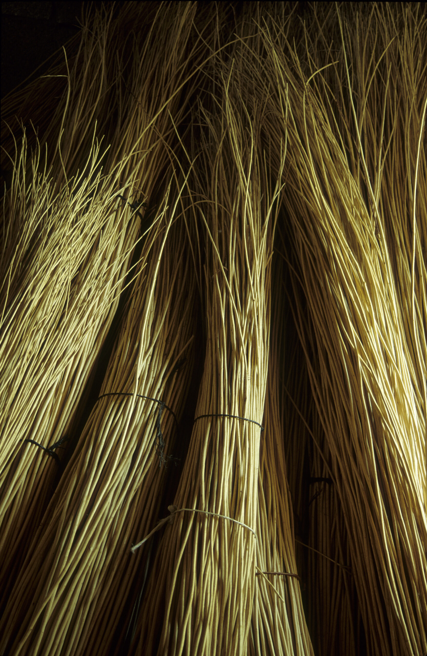 Willow, peeled and bundled Willow, peeled and bundled